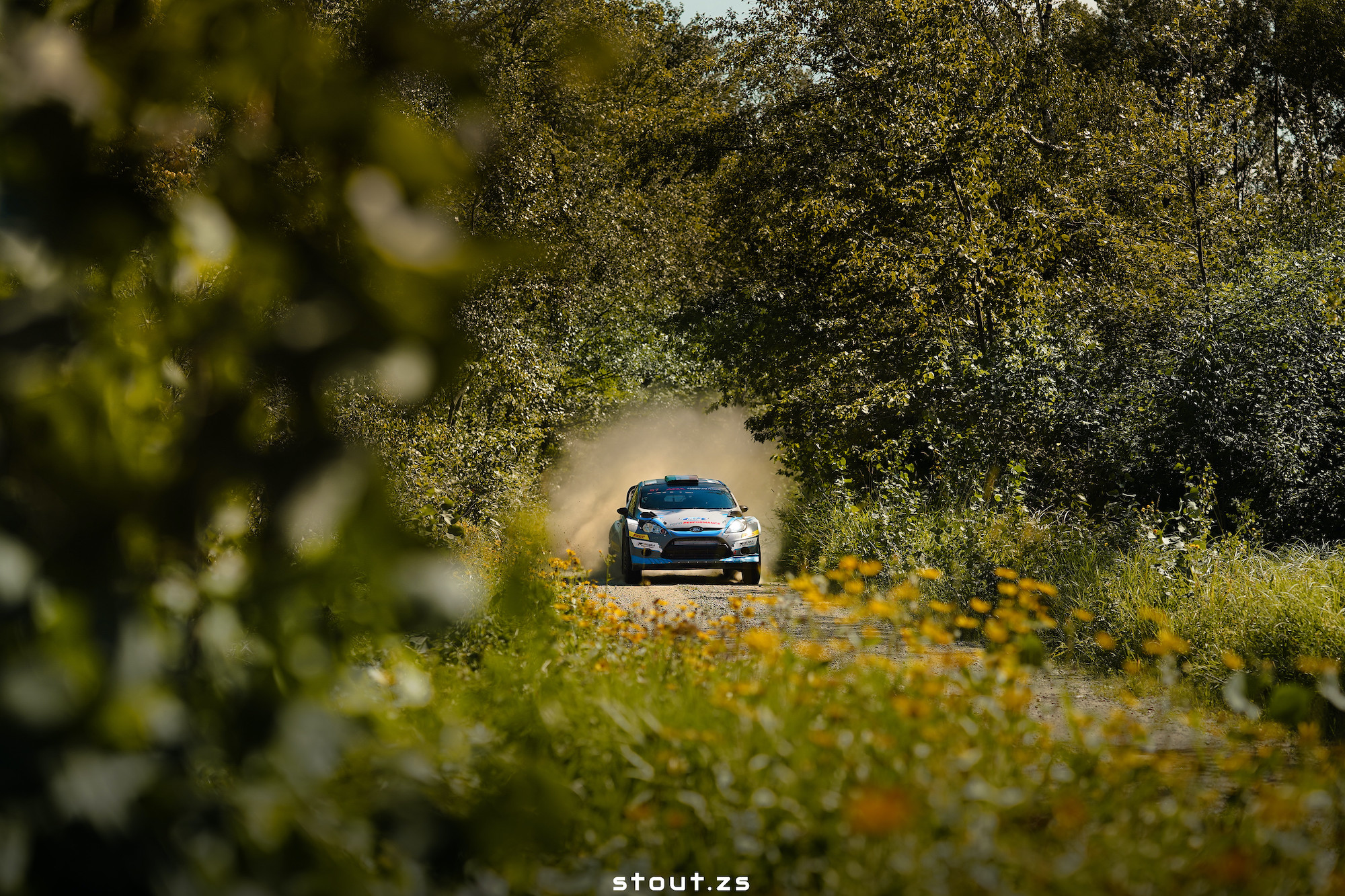 American Rally Association | Ojibwe Forests Rally '19