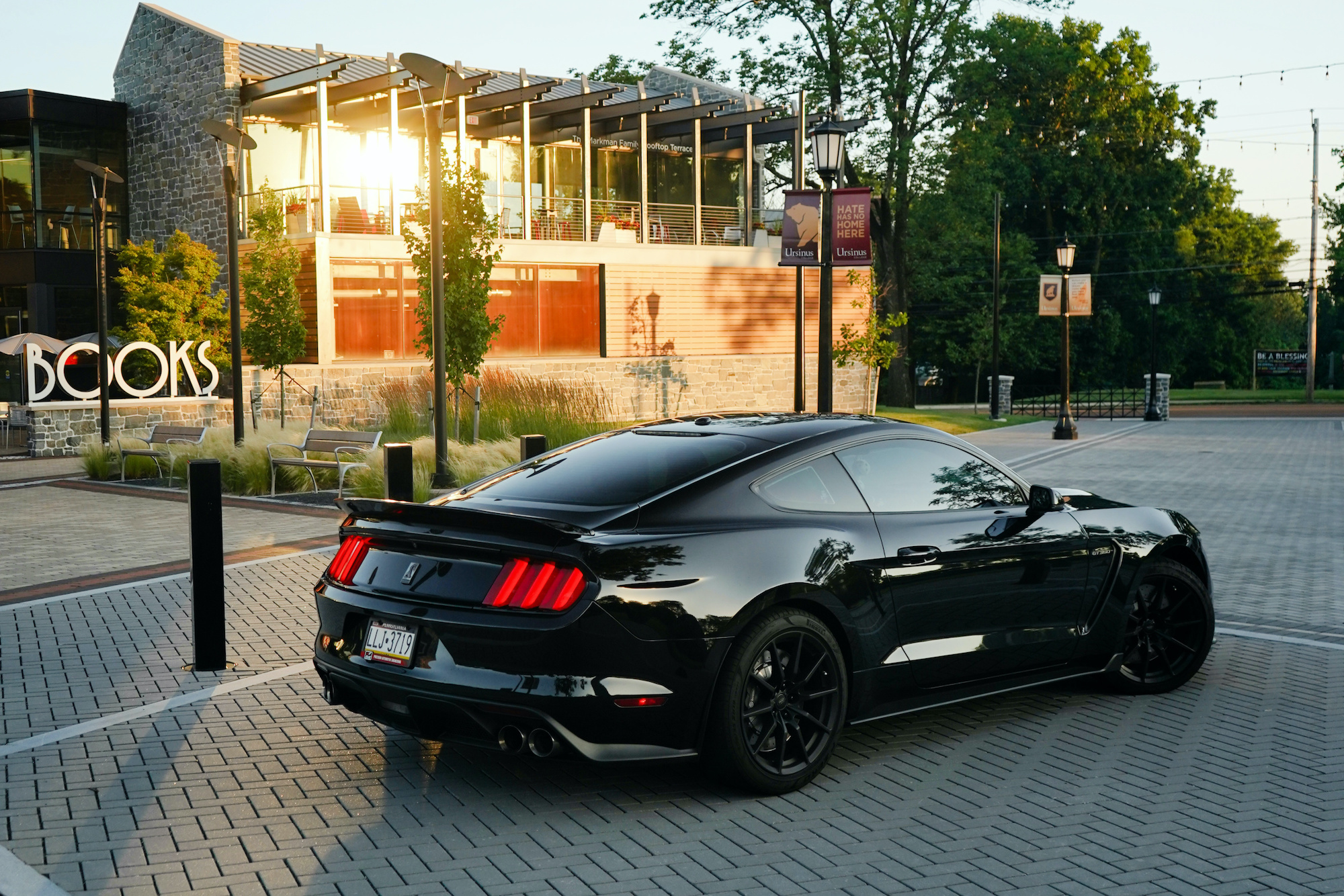 Nick's Shelby